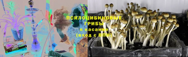 не бодяженный Пролетарск
